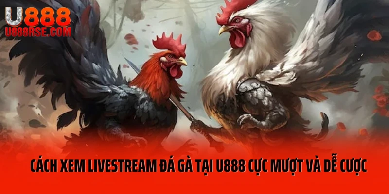 Ảnh đại diện livestream đá gà