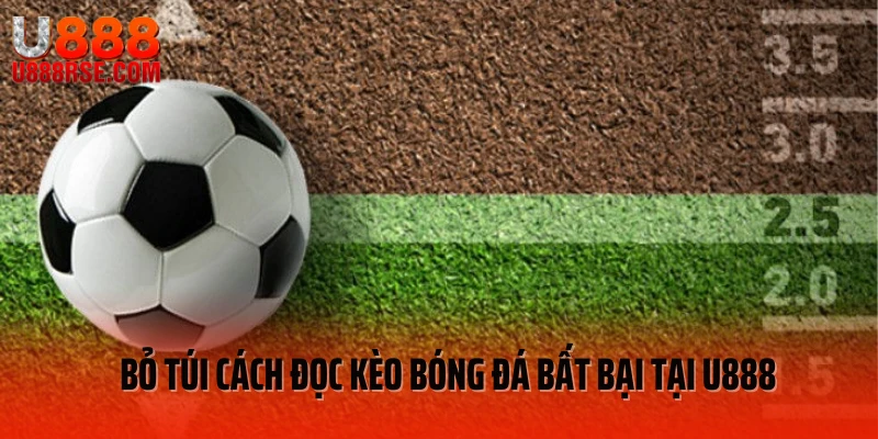 Cách Đọc Kèo Bóng Đá