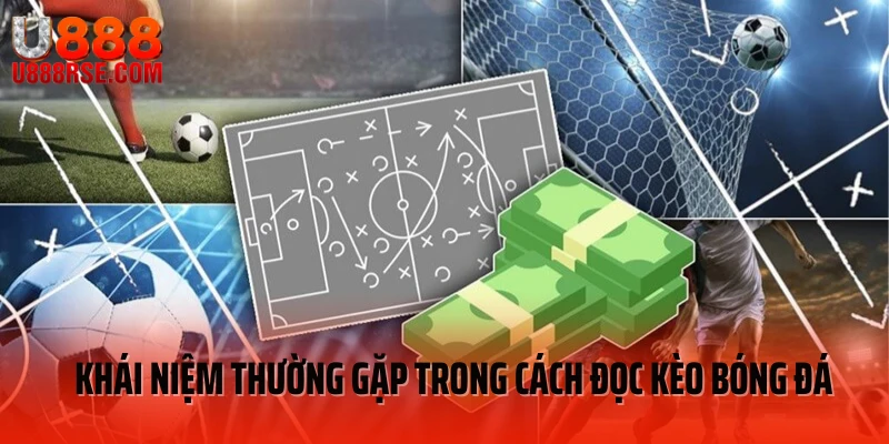 Khái niệm thường gặp trong cách đọc kèo bóng đá