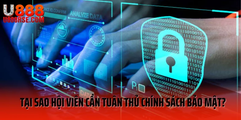 Tại sao hội viên cần tuân thủ chính sách bảo mật?