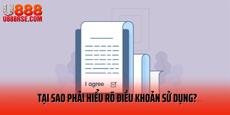 Tại sao phải hiểu rõ điều khoản sử dụng?